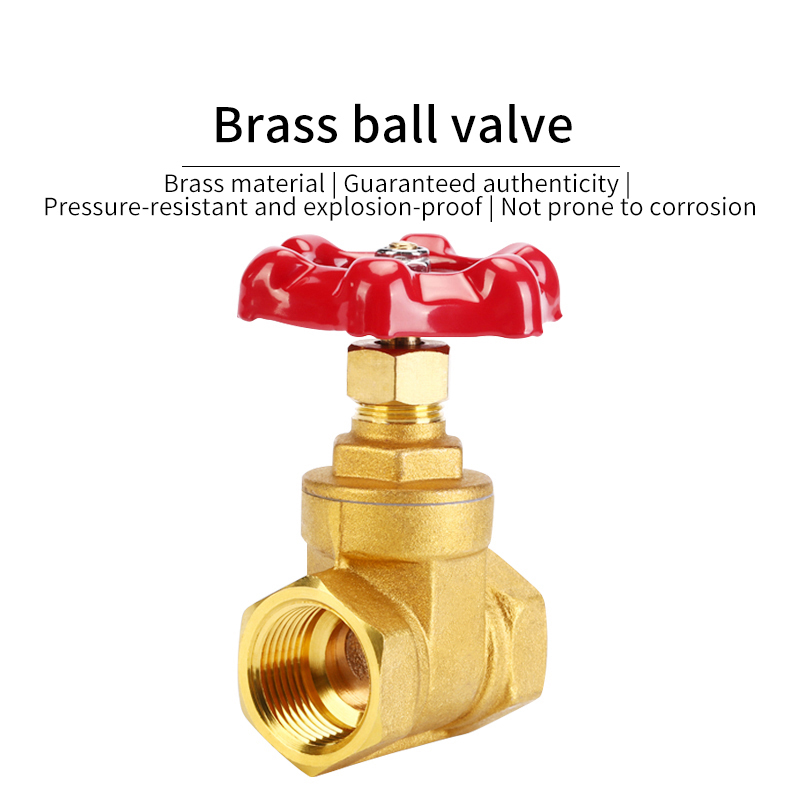 Brass Gate Valve